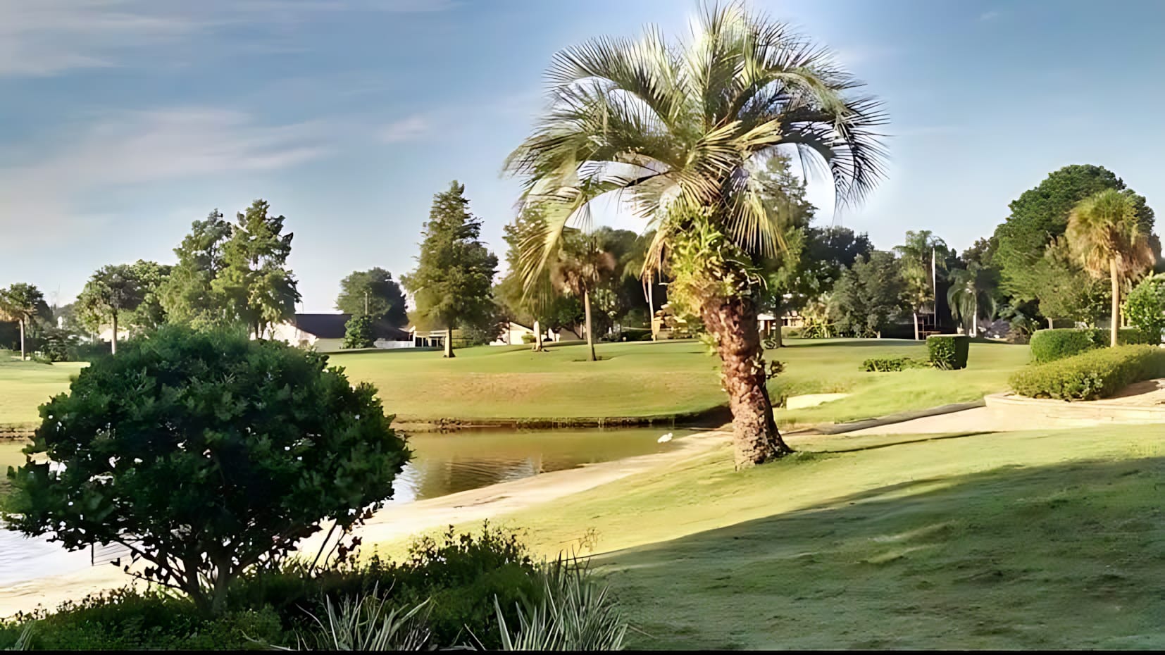 A serene outdoor landscape features a calm body of water with a sandy bank, bordered by a meticulously maintained green golf course. A prominent palm tree stands tall amidst other lush trees and greenery under a bright, partly cloudy sky.