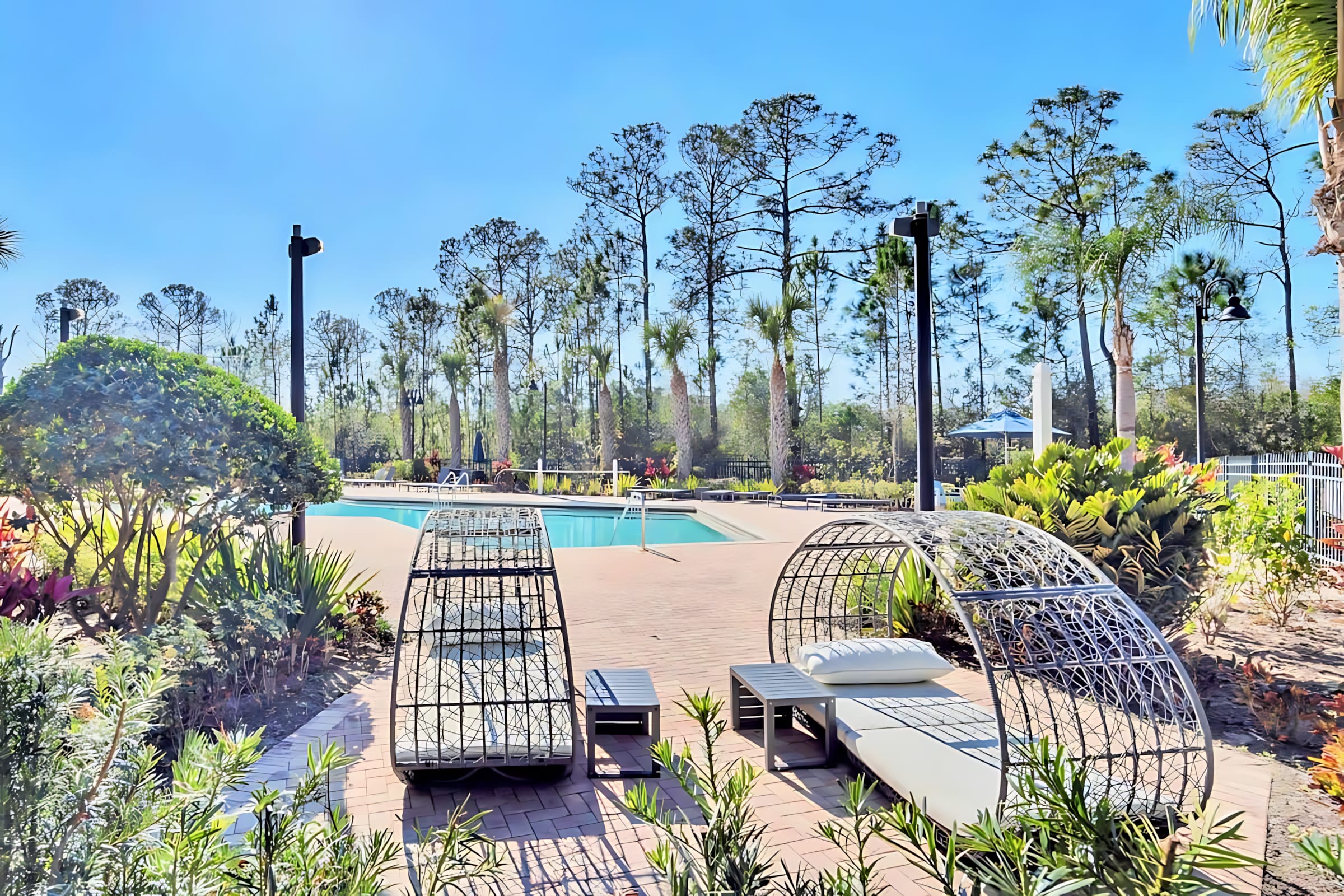 Outdoor swimming pool area featuring a brick paver deck, modern woven lounge chairs with cushions, and tall palm trees under a clear blue sky, creating a relaxing resort atmosphere.