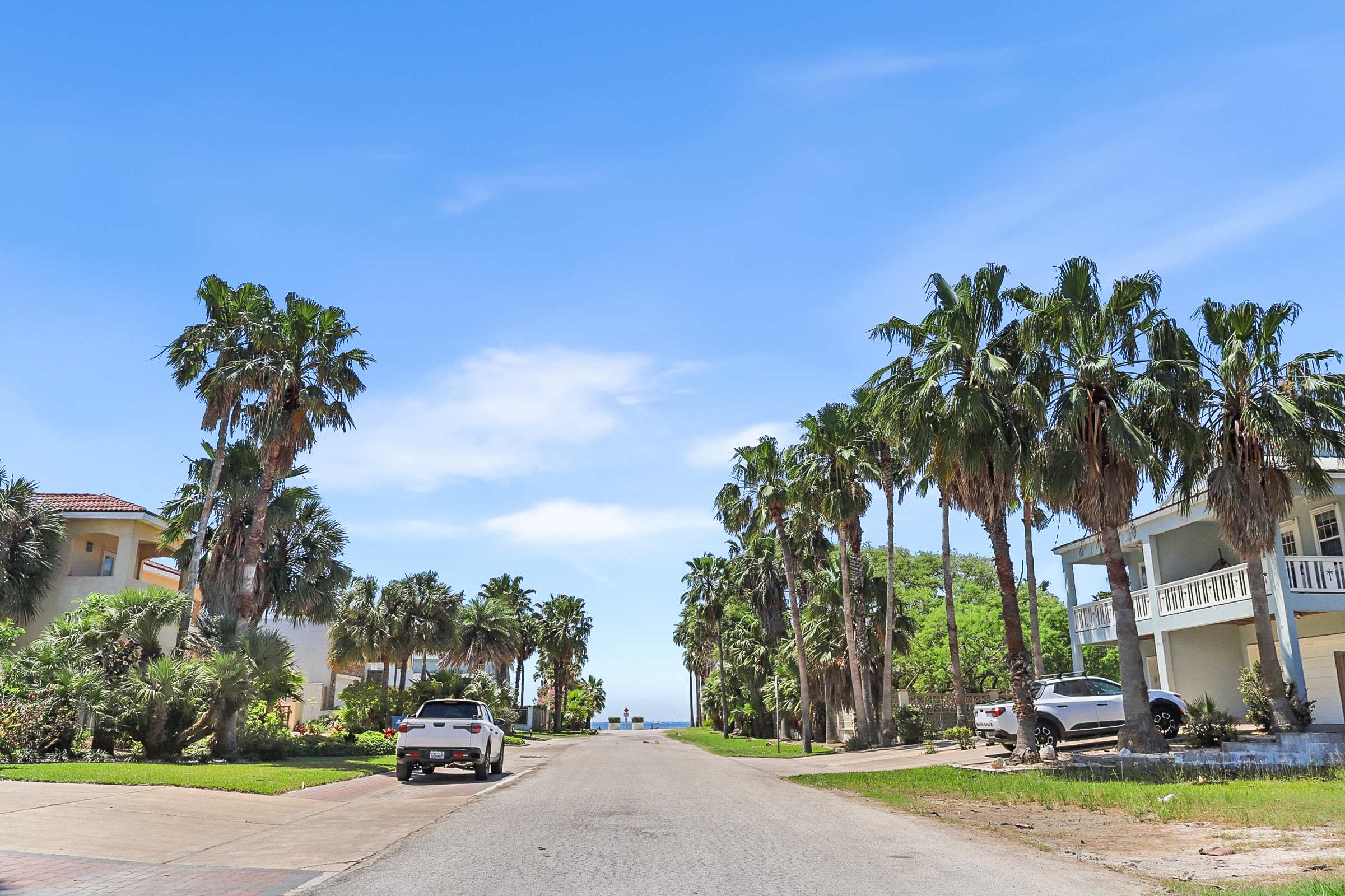 A residential street lined with tall palm trees and houses, leading towards a visible ocean or bay in the distance under a clear blue sky.