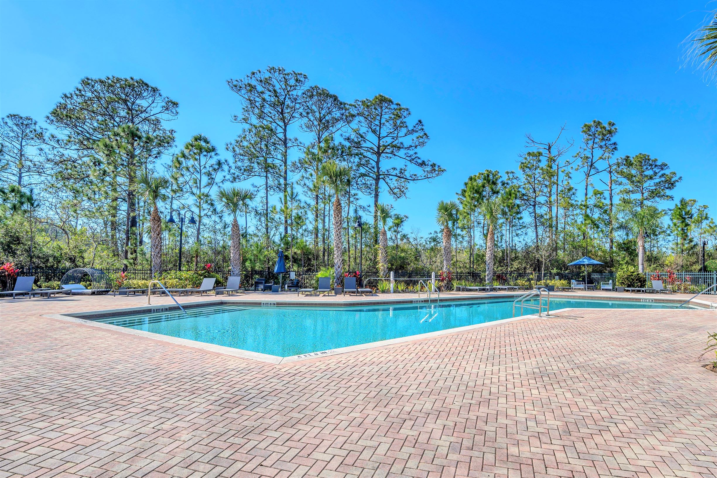 A large, rectangular outdoor swimming pool with a shallow end, surrounded by a red brick paver deck. Tall pine trees and palm trees line the perimeter under a bright blue sky.