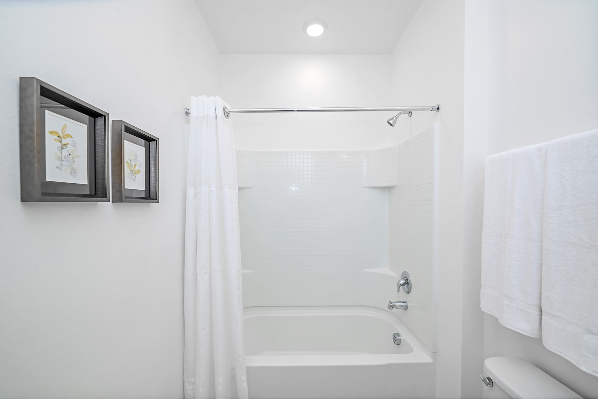 A clean, white bathroom featuring a bathtub with a shower curtain and a shower head. Two framed artworks hang on the wall, and a toilet is partially visible on the right.