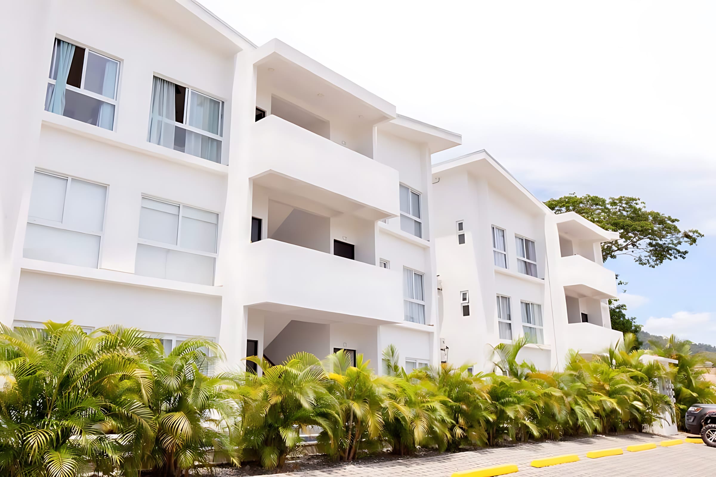 Modern white condominium buildings with clean lines and multiple windows, partially obscured by a row of vibrant green palm trees in the foreground.