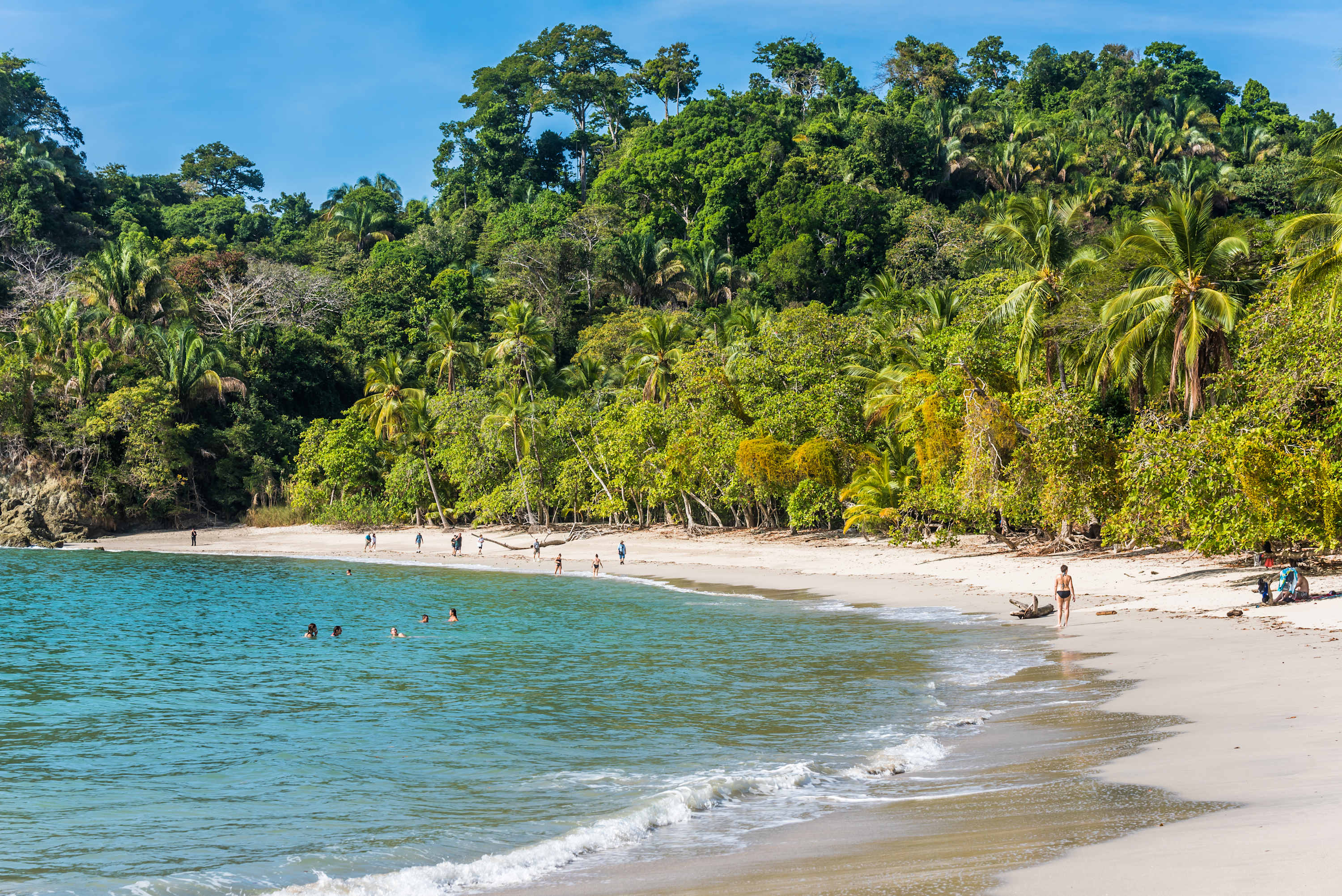 Scenic view of a sandy beach with turquoise ocean water and lush green tropical forest extending to the shoreline. Several people are swimming in the water and walking along the beach under a clear blue sky.