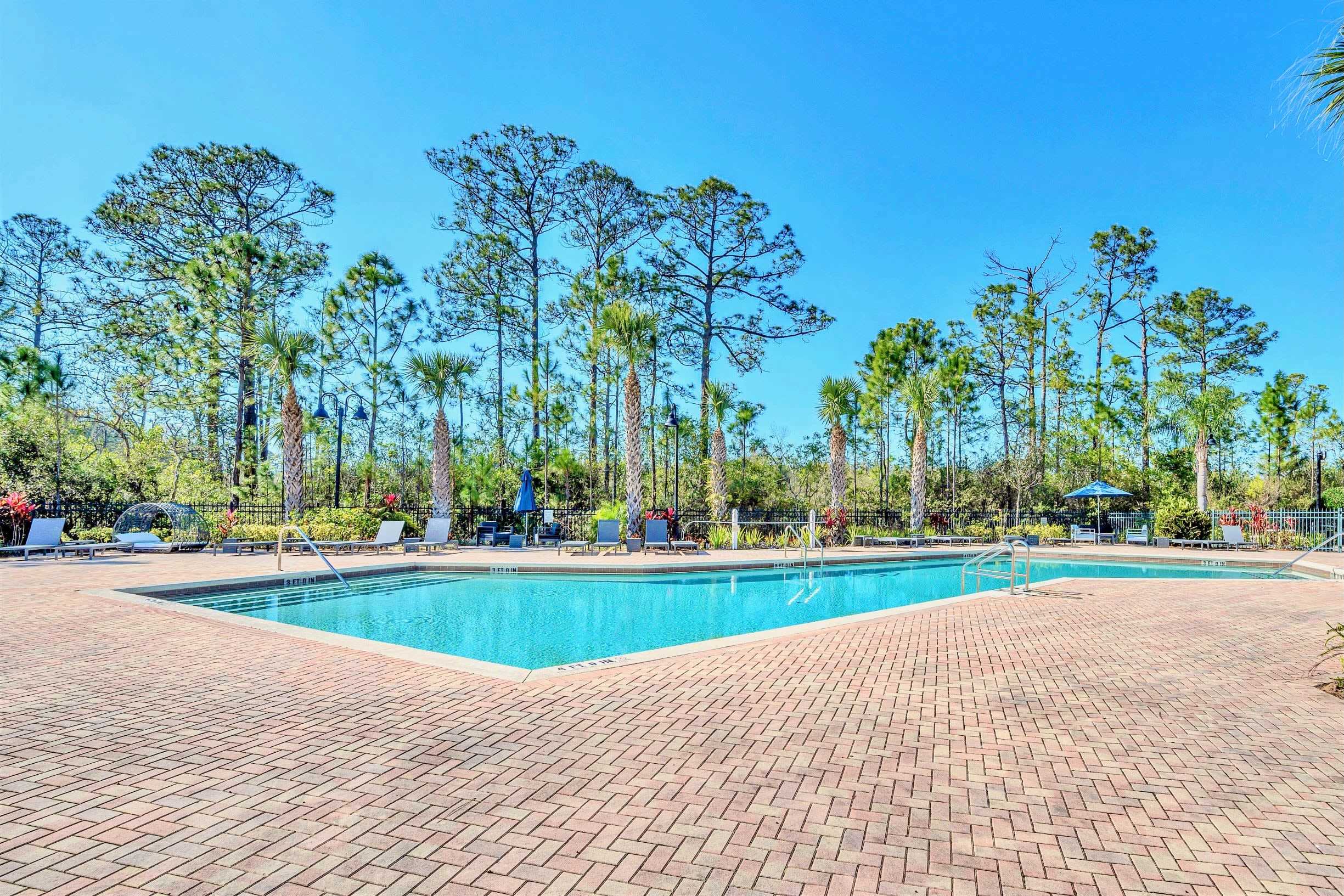 A large, rectangular outdoor swimming pool with clear blue water, surrounded by extensive red brick paving, numerous lounge chairs, and shaded by tall pine and palm trees under a bright blue sky.