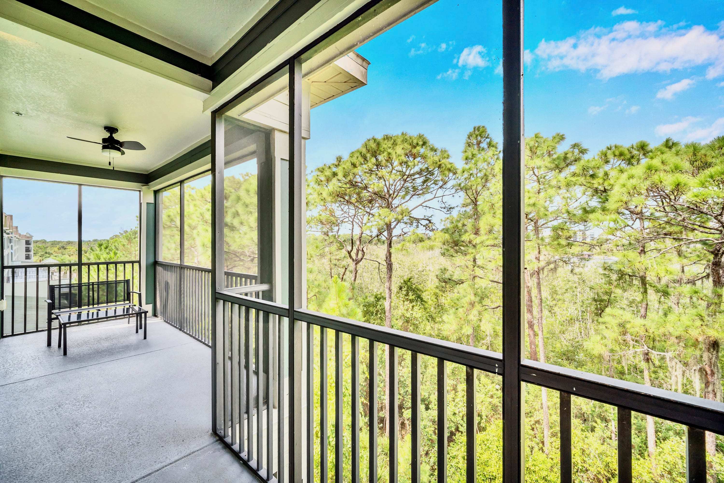 Expansive screened balcony with a black metal bench, offering panoramic views of a dense forest of pine trees and a bright blue sky. A ceiling fan is mounted above, providing comfort.