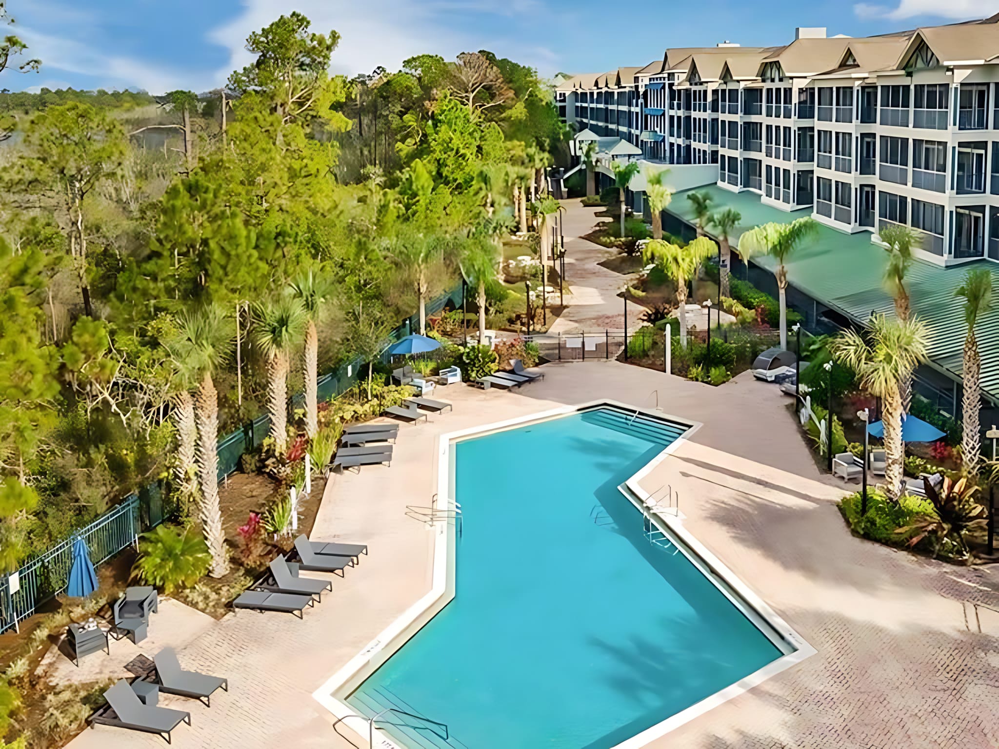 Aerial view of a large, irregularly shaped outdoor swimming pool surrounded by numerous lounge chairs and lush palm trees. Multi-story residential buildings with green roofs are visible in the background.