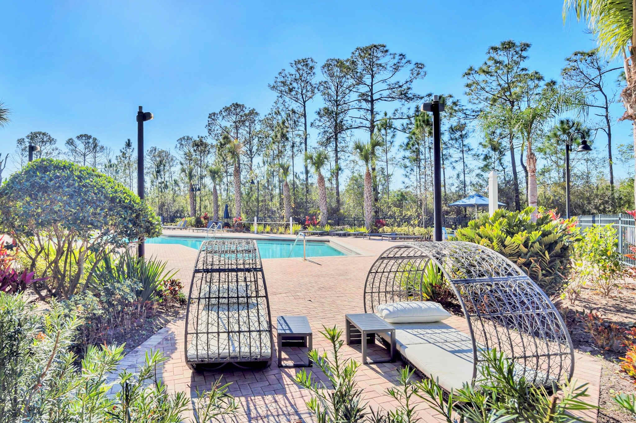 Sunny outdoor communal pool area surrounded by lush landscaping and tall pine trees, featuring a rectangular swimming pool and unique woven lounge chairs on a brick patio.