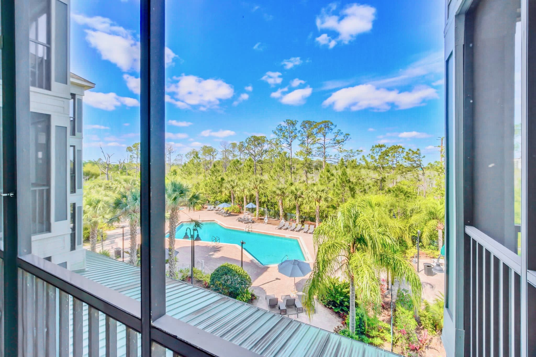 View from a screened balcony overlooking a large communal swimming pool with surrounding lounge chairs and umbrellas, nestled among vibrant green palm trees and distant woods.