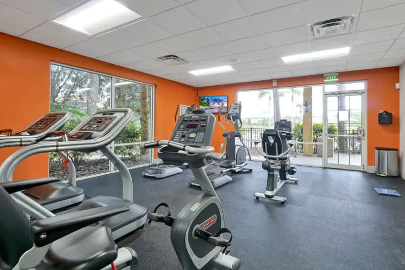 A bright and modern fitness room with vibrant orange walls, large windows, and a black rubber floor, equipped with multiple treadmills, stationary bikes, and other exercise machines. A wall-mounted TV provides entertainment.