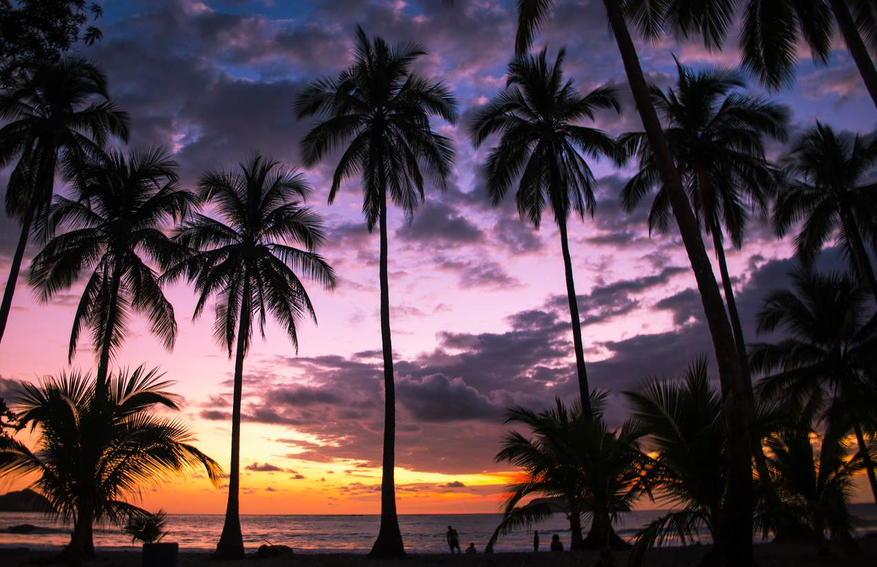 A breathtaking sunset over a tropical beach, with silhouetted palm trees framing a vibrant sky painted in hues of purple, pink, and orange. The ocean reflects the colorful light, creating a serene and picturesque scene.