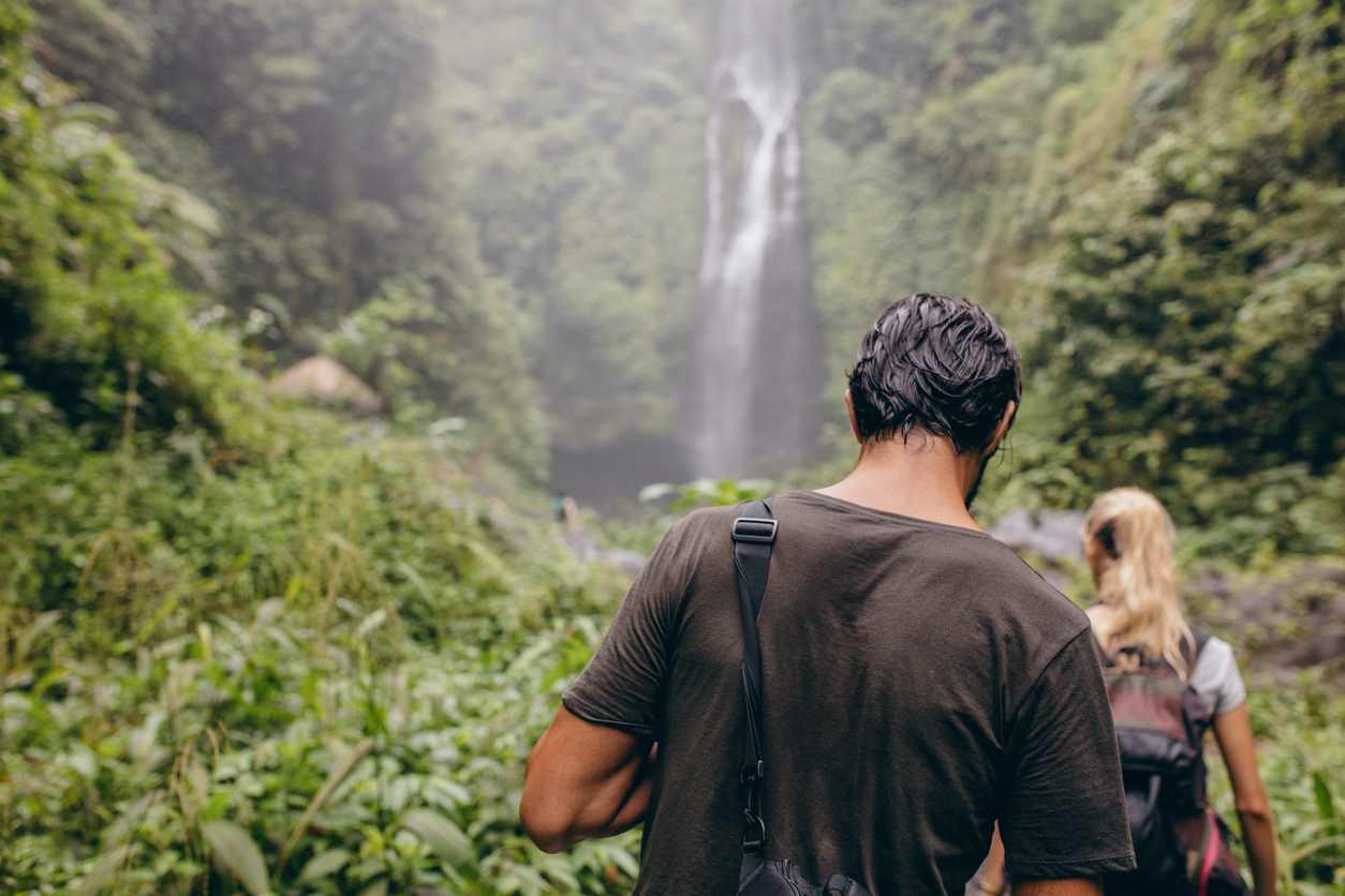 Two people are seen from behind, hiking through dense tropical foliage towards a majestic waterfall cascading down a rocky cliff in the distance. The scene evokes a sense of adventure and natural beauty.