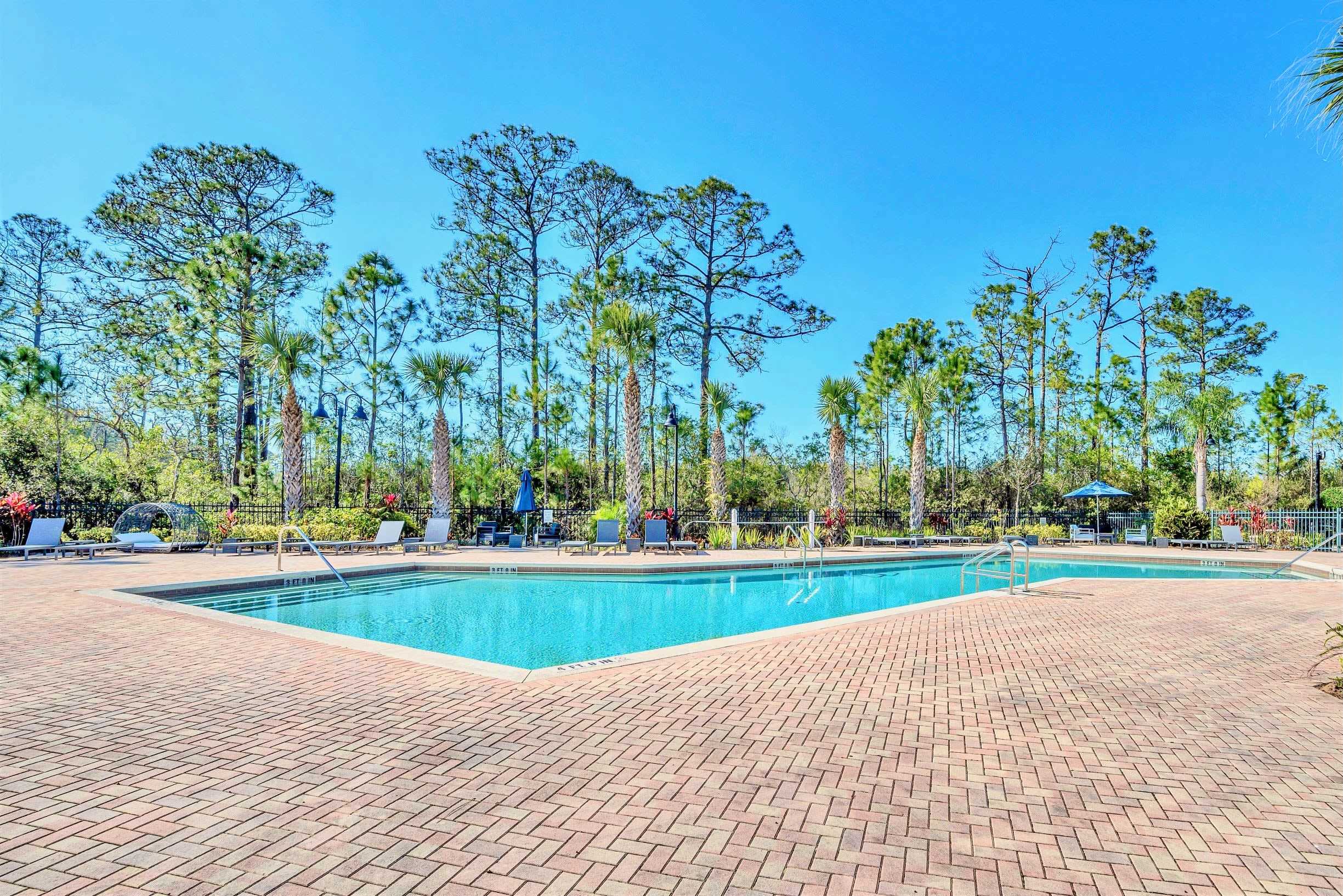 A large, rectangular communal swimming pool surrounded by a brick paver deck and numerous lounge chairs. Tall pine trees and palm trees frame the area, creating a serene outdoor oasis under a bright blue sky.
