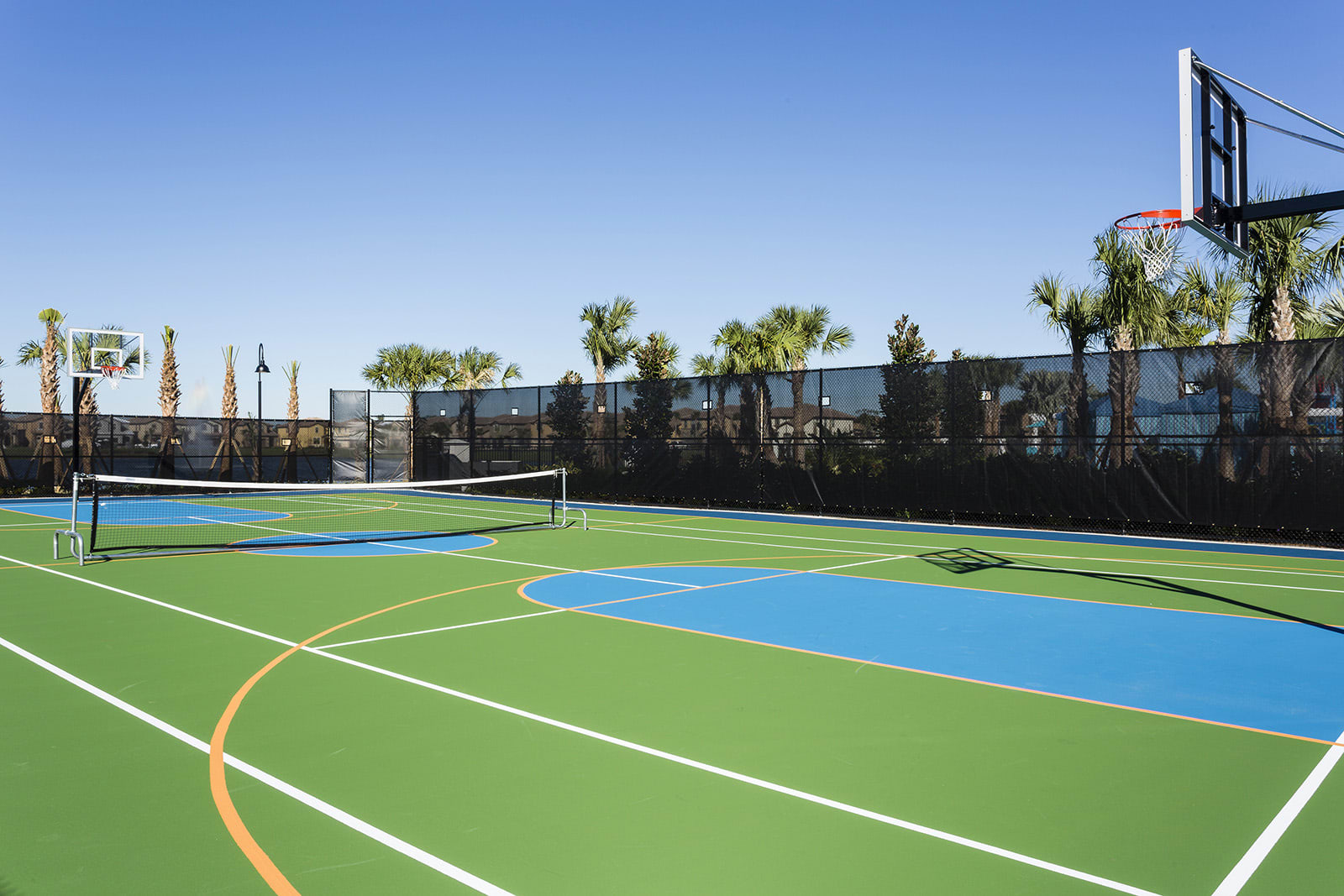 A vibrant outdoor multi-sport court with a green and blue surface, marked for both basketball and volleyball, featuring two basketball hoops and a net. A black chain-link fence and palm trees line the perimeter under a clear blue sky.
