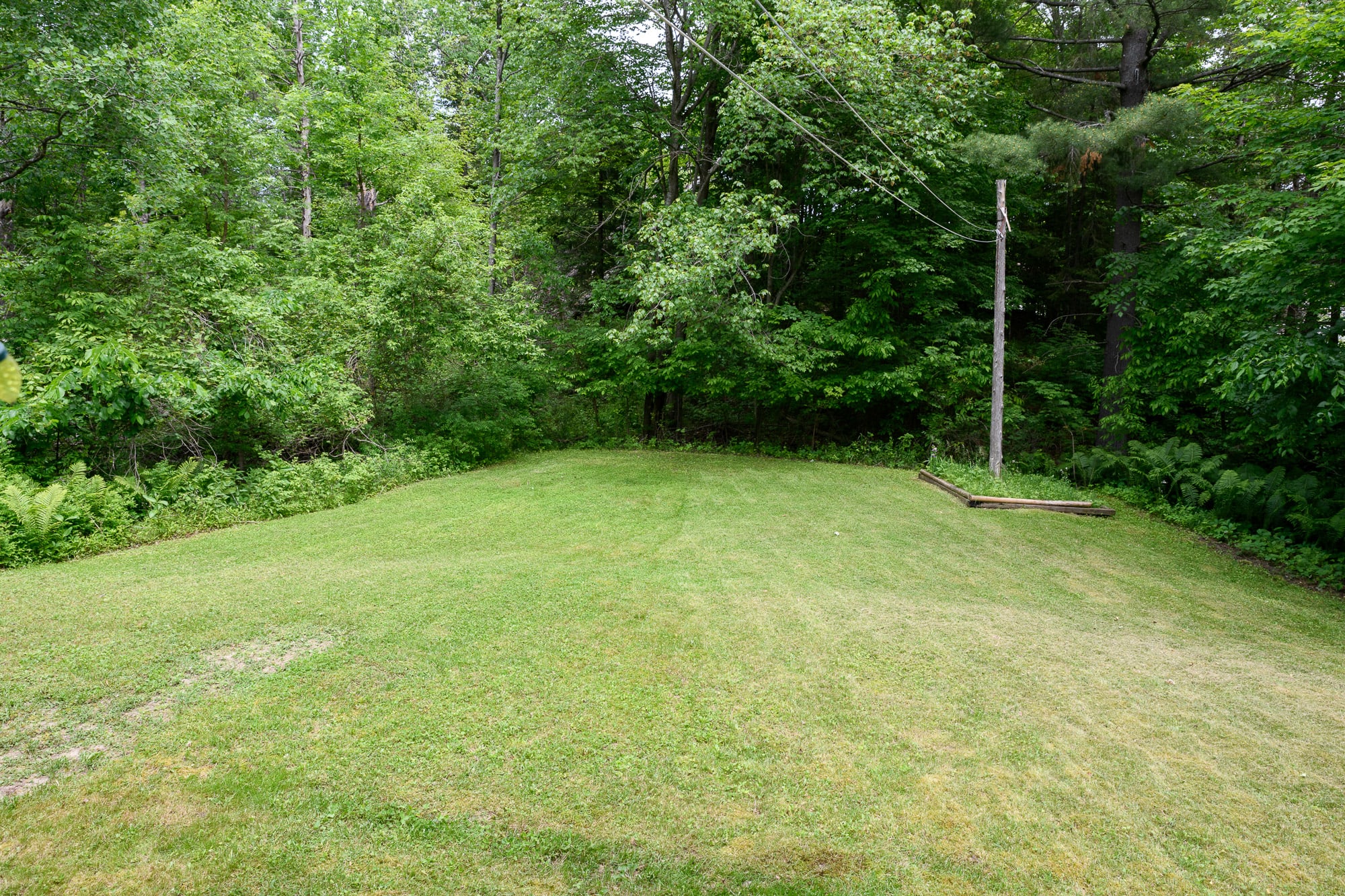 A well-maintained grassy backyard surrounded by dense green trees and foliage, offering a private and natural setting. The lawn is flat and open, ideal for outdoor activities.
